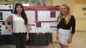 Undergraduate Research Day 2017